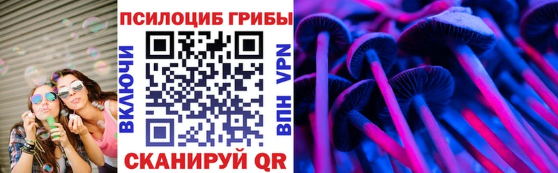 дарк нет состав Энем Псилоцибиновые грибы мухоморы